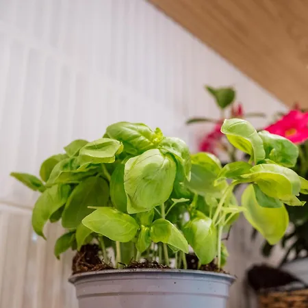 Relais San Francesco Гостевой дом Сорренто