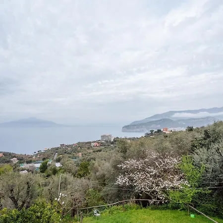 Relais San Francesco *