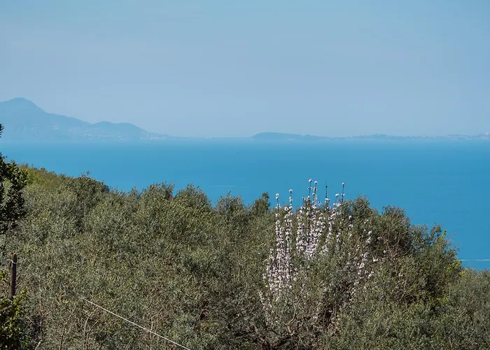 Relais San Francesco ゲストハウス 3*